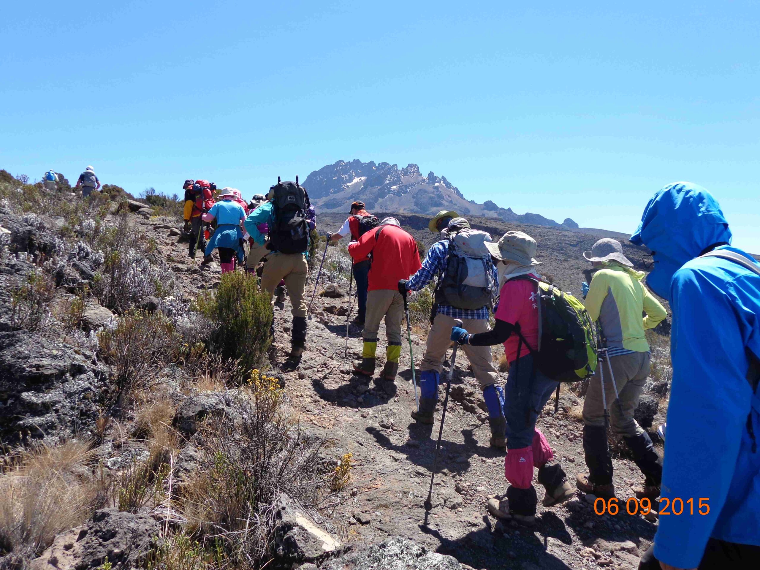 8 Days Mount Kilimanjaro climbing on Shira Route