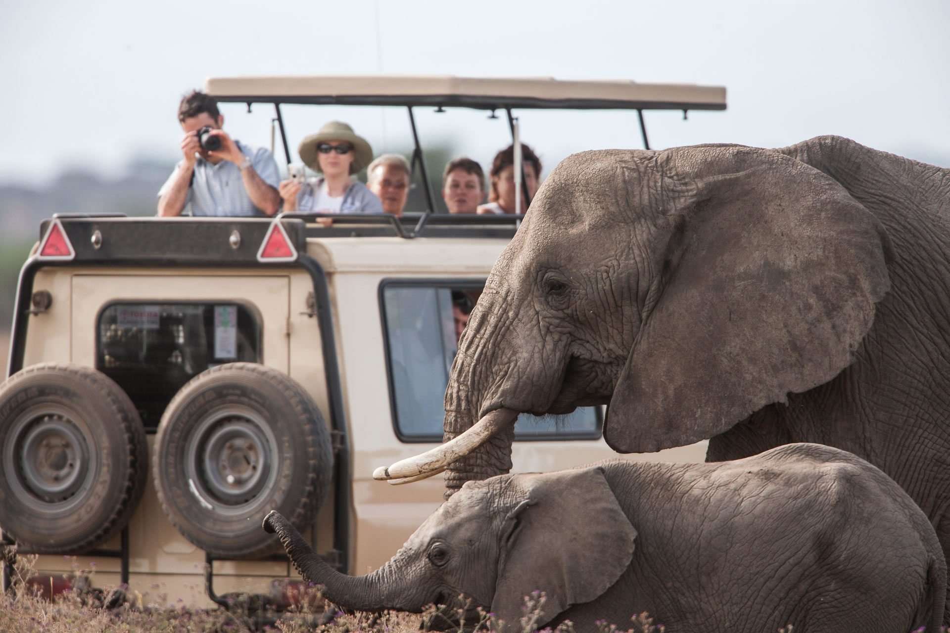 Tarangire National Park