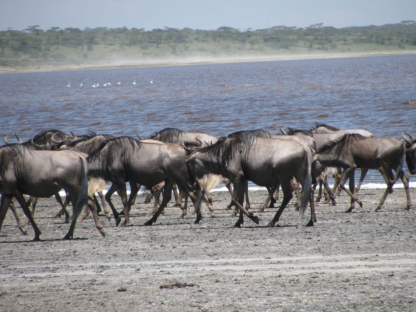 Cultural Tourism in Tanzania Visiting Longido