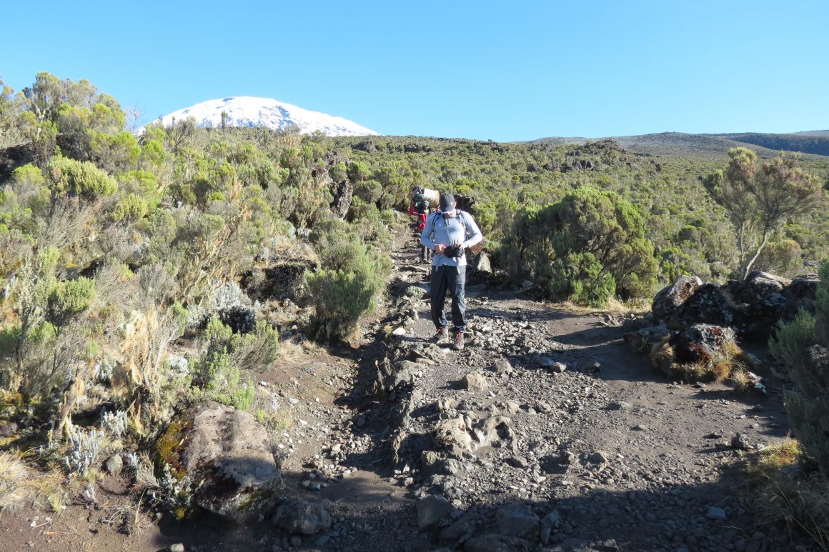 Kilimanjaro Lemosho Route Overview