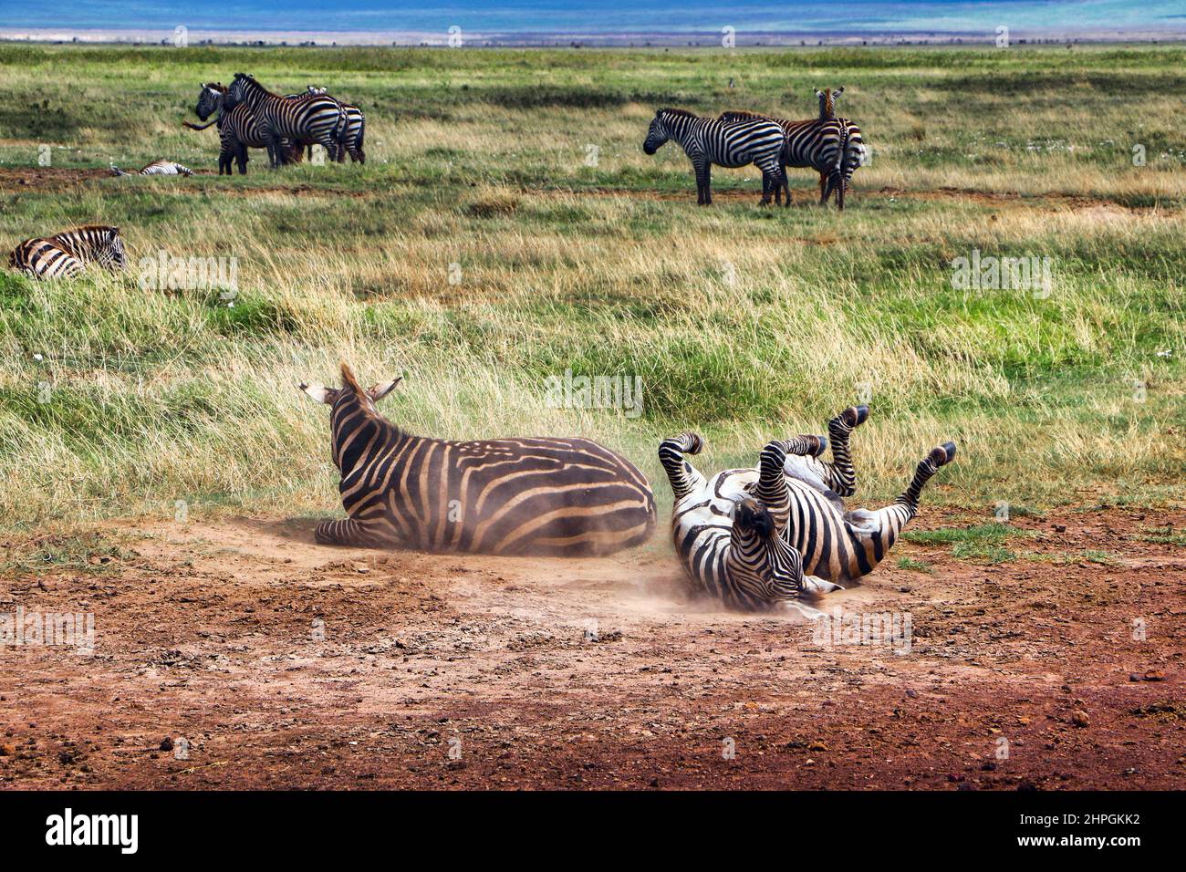 Kitulo National Park