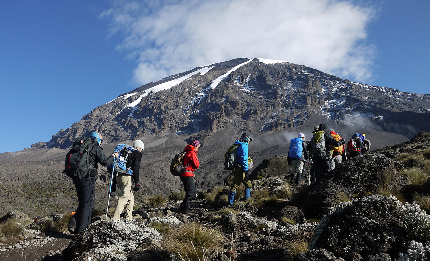 8 Days Mount Kilimanjaro climbing on Northern Circuit Route