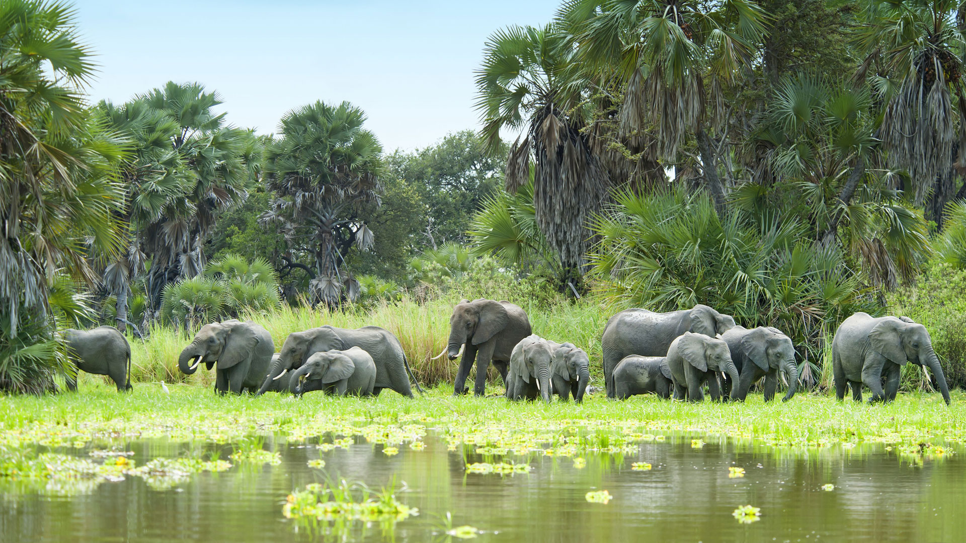 Nyerere National Park