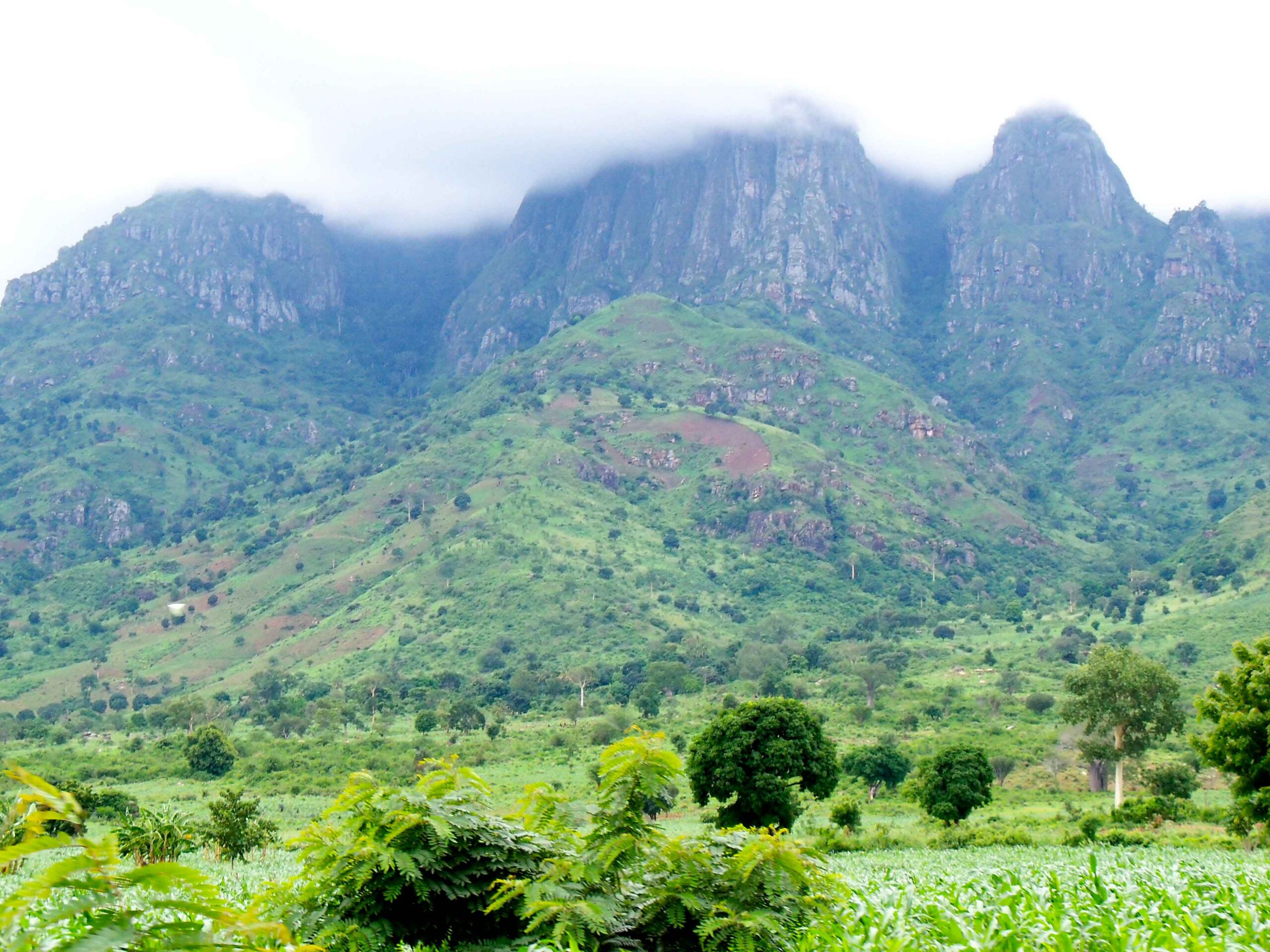 Cultural Tourism in Tanzania Visiting West Usambara