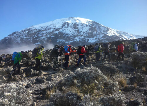 9 Days Kilimanjaro Climb Northern Circuit Route