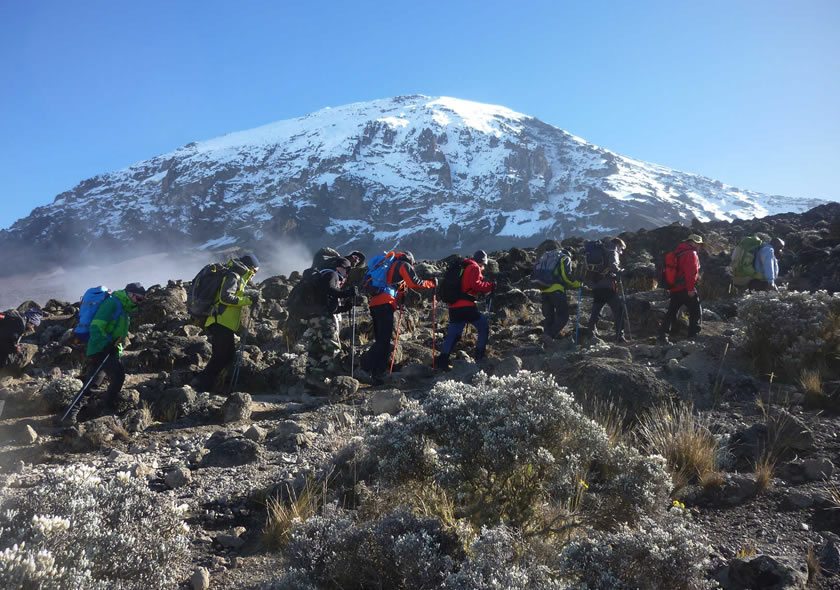 9 Days Kilimanjaro Climb Northern Circuit Route