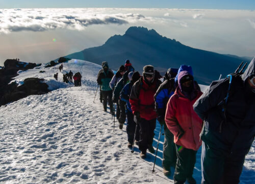 8 Days Lemosho Route Itinerary Kilimanjaro