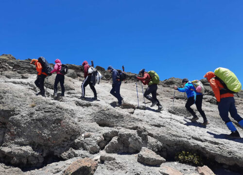 8 Days Kilimanjaro Climb Northern Circuit Route