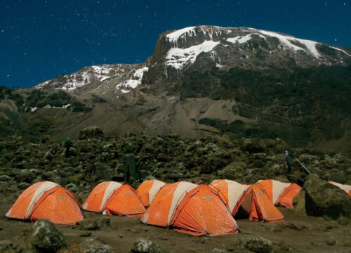 7 Days Rongai Route Kilimanjaro Climb