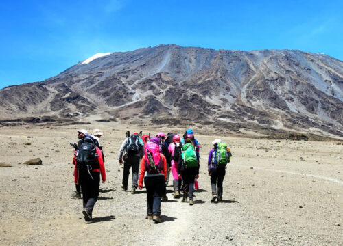 7 days Lemosho Route Kilimanjaro Climb