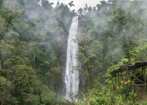 Materuni Waterfall & Coffee Tour