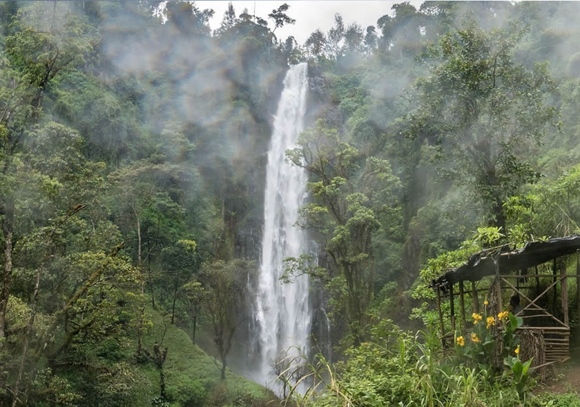 Materuni Waterfall & Coffee Tour